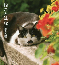 ねことはな[本/雑誌] (IWAGO’S BOOK 4) / 岩合光昭/著