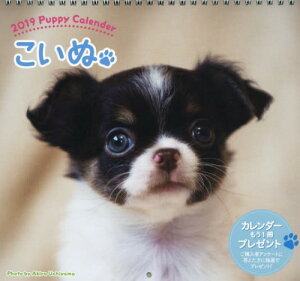 19 カレンダー 本 Cd Dvdの人気商品 通販 価格比較 価格 Com