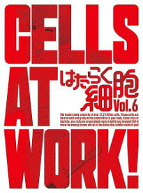 はたらく細胞[DVD] 6 [CD付完全生産限定版] / アニメ