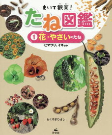 楽天市場 球根 チューリップ その他 絵本 児童書 図鑑 本 雑誌 コミックの通販