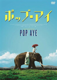 ポップ・アイ[DVD] / 洋画