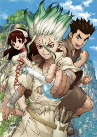 Dr.STONE ドクターストーン[DVD] Vol.1 / アニメ