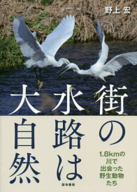 街の水路は大自然 1.8kmの川で出会った野生動物たち[本/雑誌] / 野上宏/著
