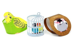 �y�y�[�p���[(��)�zkururu co-tori�y2019�N11�������z[�O�b�Y] / �J�~�e���A