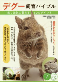 楽天市場 デグー 巣箱の通販