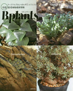 ハオルチアの人気商品 通販 価格比較 価格 Com