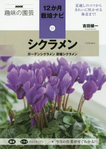 シクラメン 種の人気商品 通販 価格比較 価格 Com