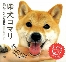 楽天市場 柴犬 写真集の通販 楽天市場 柴犬 写真集の通販