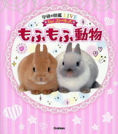 楽天市場 かわいい 動物 図鑑 ちしき 絵本 児童書 図鑑 本 雑誌 コミックの通販 楽天市場 かわいい 動物 図鑑 ちしき 絵本 児童書 図鑑 本 雑誌 コミックの通販