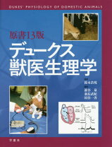 楽天市場】デュークス獣医生理学の通販