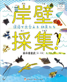 楽天市場 幼魚図鑑の通販