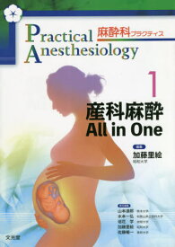楽天市場 産科麻酔 All In Oneの通販