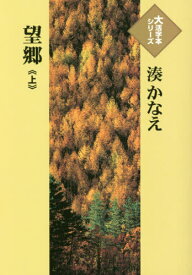 望郷 上[本/雑誌] (大活字本シリーズ) / 湊かなえ/著