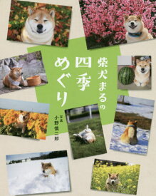 柴犬まるの四季めぐり[本/雑誌] / 小野慎二郎/写真
