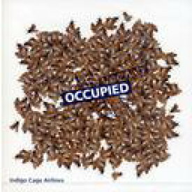 OCCUPIED＜-＞VACANT[CD] / Indigo Cage Airlines