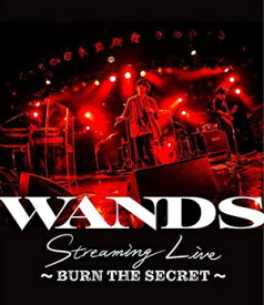 WANDS Streaming Live ～BURN THE SECRET～[Blu-ray] / WANDS