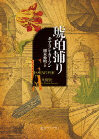 琥珀捕り / 原タイトル:FISHING FOR AMBER[本/雑誌] (創元ライブラリ) / キアラン・カーソン/著 栩木伸明/訳