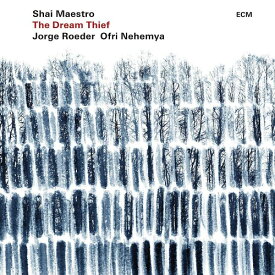 ザ・ドリーム・シーフ[アナログ盤 (LP)] [輸入盤] / シャイ・マエストロ・トリオ
