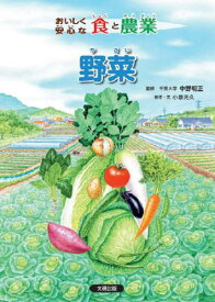 おいしく安心な食と農業 野菜[本/雑誌] / 小泉光久/制作・文