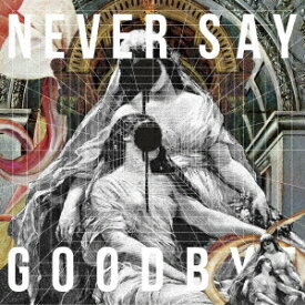 NEVER SAY GOODBYE[CD] [通常盤] / ALI