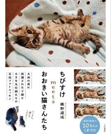 ちびすけmeetsおおきい猫さんたち[本/雑誌] / 椹野道流/著