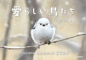 愛らしい鳥たち カレンダー[本/雑誌] 2024 / 熊谷勝