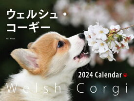 ワイドカレンダー ウェルシュ・コーギー[本/雑誌] 2024 / 井川俊彦