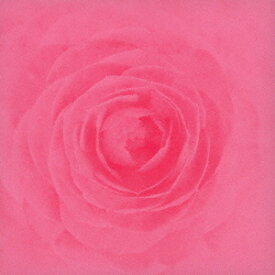 Camellia[CD] / RAY