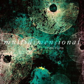 multidimensional[CD] / 藤田千章
