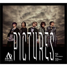 PICTURES[CD] [DVD付初回限定盤] / アルルカン
