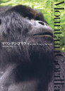 マウンテンゴリラ 森に棲む賢者たち[本/雑誌] / 小桧山悟/著