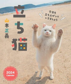 立ち猫 カレンダー[本/雑誌] 2024 / 山本正義