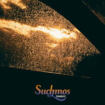 楽天市場】suchmos アナログの通販