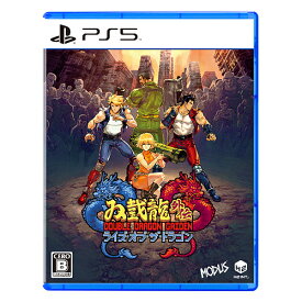 ダブルドラゴン外伝 ライズ・オブ・ザ・ドラゴン[PS5] / ゲーム