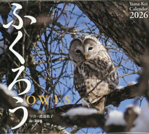 J_[ ӂ낤[{/G] 2026 / n粏q