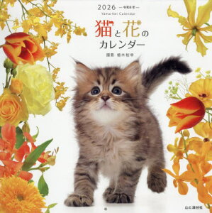 LƉԂ̃J_[[{/G] 2026 / AؗTK