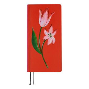 قړ蒠2026 WEEKS EB[N[(1n܂)[{/G] TOLIGHT A Bright Year / قړ