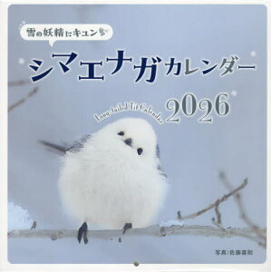 ̗dɃL V}GiKJ_[[{/G] 2026 / 쑥