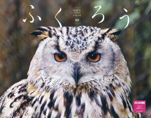 ӂ낤J_[[{/G] 2026 Ǌ| / lREpubVO