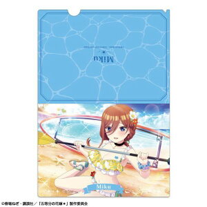 yCZXG[WFgzܓ̉ԉŁ NAt@C Ver. 2 fUC 08 (O / B)y2026N1z[ObY]