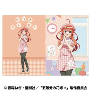 yGXJCzܓ̉ԉŁ A4 NAt@C ( 悤) (5) ܌ (ct̐搶)y2026N2z[ObY]