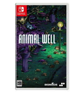 ANIMAL WELL[Nintendo Switch] / Q[