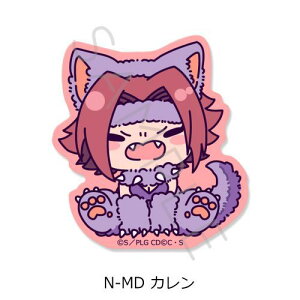 yVNCmx[VzwR[hMAX t̃[Vx NA_CJbgXebJ[ N-MD (J)y2026N1z[ObY]