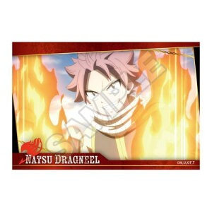 �y�O���i�b�v�zFAIRY TAIL 100�N�N�G�X�g �X�e�b�J�[ �i�c�E�h���O�j���y2025�N4�������z[�O�b�Y]