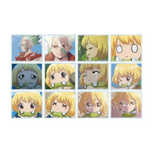 �y�A���}�r�A���J�zTV�A�j�� �uDr.STONE�v �g���[�f�B���O 4�� 23�b ��ʎ� �A�N�����J�[�h BOX�y2026�N8�������z[�O�b�Y]
