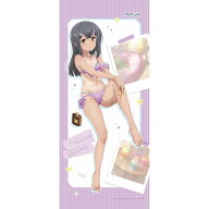 【カーテン魂】[劇場版 「Fate/kaleid liner プリズマ☆イリヤ Licht 名前の無い少女」] 描き下ろし 特大…