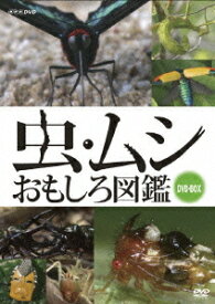 虫・ムシ おもしろ図鑑[DVD] セット / 趣味教養