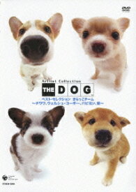 THE DOG ベスト・セレクション きらっこチーム～チワワ、コーギー、パピオン、柴～[DVD] / 趣味教養
