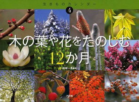 木の葉や花をたのしむ12か月[本/雑誌] (生きものカレンダー) (児童書) / 姉崎一馬/著 すがわらけいこ/絵