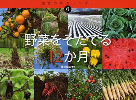 野菜をそだてる12か月[本/雑誌] (生きものカレンダー 6) (児童書) / 亀田龍吉 すがわらけいこ